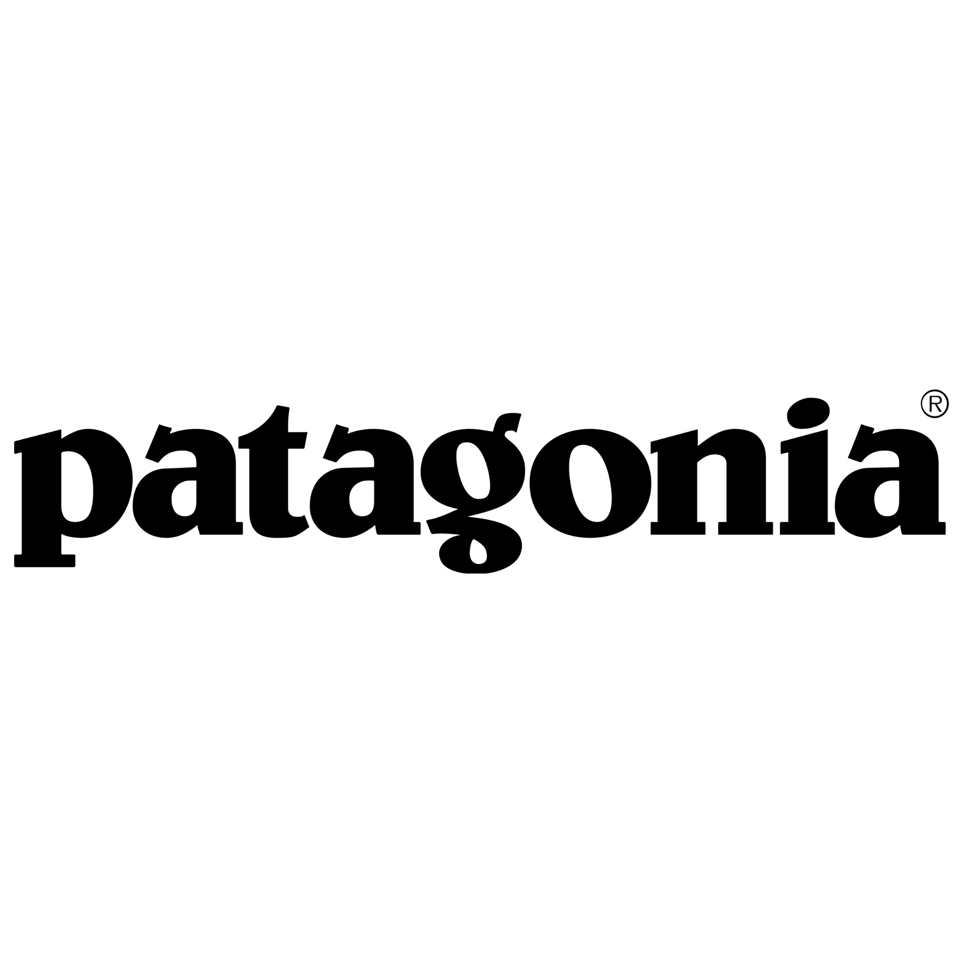 Patagonia logo